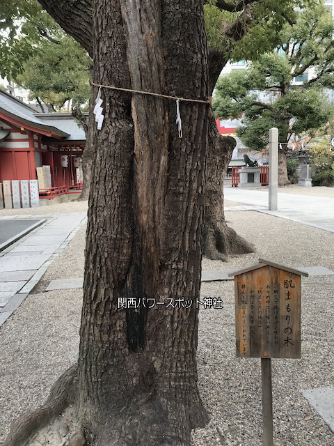 大阪「御霊神社」の御神木「肌まもりの木」
